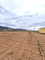 Residential Plot in Yecla. Se venden dos parcelas cerca de raspay con un total de 35.500 m,