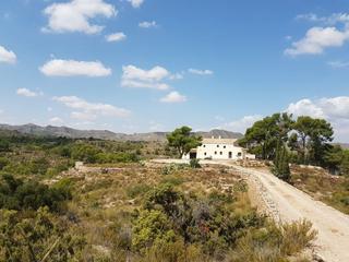 Casa a Yecla. Gran finca rural en yecla ideal para agricultura, energías renov