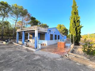 Casa a Yecla. Casa de campo cerca de yecla a un precio muy atractivo. la casa,