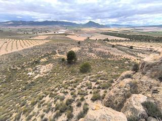 Residential Plot in Yecla. Se vende terreno de 80.000 m. el terreno cuenta con barbecho en