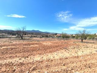 Terrain résidentiel à Pinoso. Se vende almendro de aprox. 3350 m, ubicado en el municipio de j