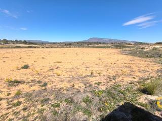 Residential Plot in Jumilla. Se vende parcela de aprox. 18.000 m, ubicada cerca de la zarza,