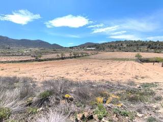 Residential Plot in Jumilla. Se vende terreno de aprox. 27.000 m, ubicado cerca de la zarza,