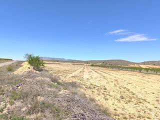 Terreny residencial a Abanilla. Se vende parcela de aprox. 42.000 m, de los cuales aproximadamen