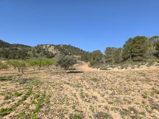 Residential Plot in Yecla. Parcela de 9700 m en venta en yecla. terreno en barbecho y bien