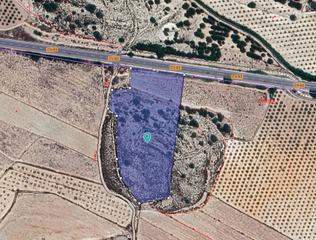 Terreny residencial a Monòver. Amplia parcela de 14.595 m en chinorlet, situada entre pinoso y