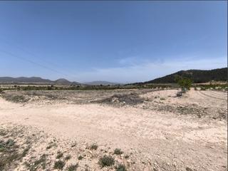 Terreny residencial a Monòver. Ofrecemos este huerto ecológico de almendros y una parcela con p