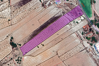 Terreny residencial a Monòver. Este terreno de 12.825 m ofrece una fantástica oportunidad para