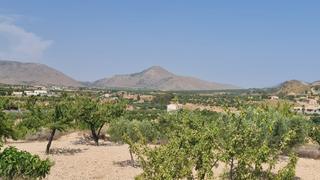 Terreny residencial a Abanilla. Parcela edificable con almendros  macisvenda, abanilla murcia es