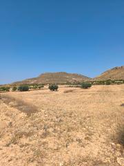 Terrain résidentiel à Pinoso. Esta espaciosa parcela edificable de más de 14.000 m ofrece impr