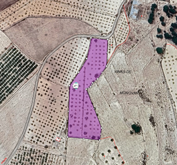 Terreny residencial a Monòver. Esta parcela de 9.568 m se encuentra a las afueras de monóvar y