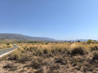 Terrain résidentiel à Pinoso. Gran terreno con potencial de construcción  lel, cerca de pinoso
