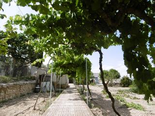 Maison à Yecla. Bienvenido a esta encantadora villa de campo ubicada en el pinto
