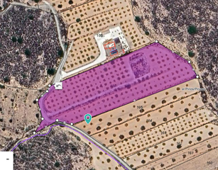 Terreno residencial en Pinoso. Esta parcela de 12.000 m cerca de pinoso ofrece una excelente op