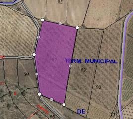 Terrain résidentiel à Pinoso. Preciosa parcela situada aproximadamente a 5 minutos del pueblo