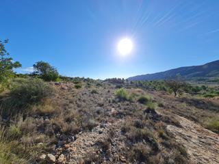 Terrain résidentiel à Romana (la). Aproveche la oportunidad de poseer una importante parcela de ter
