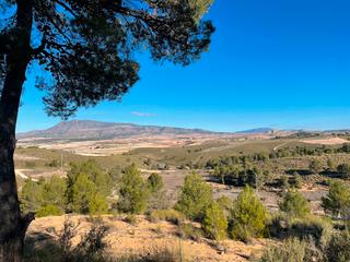 Terreny residencial a Jumilla. Bienvenido a esta impresionante parcela edificable ubicada en la