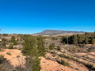 Terreny residencial a Jumilla. Bienvenido a esta impresionante parcela edificable ubicada en la