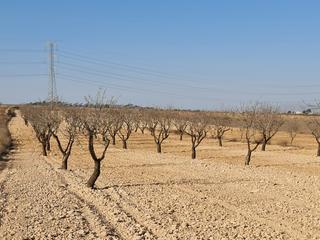 Terreny residencial a Jumilla. Parcela edificable de 7088m2 ubicada en jumilla. la parcela actu