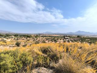 Residential Plot in Sax. Ofrecemos esta maravillosa parcela edificable de 14.497 m en sax