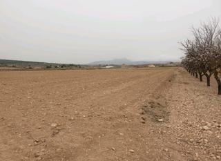 Terrain résidentiel à Pinoso. Una oportunidad para adquirir una parcela de gran valor ubicada