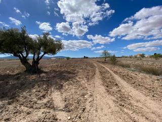 Terrain résidentiel à Pinoso. Presentamos una excelente parcela de terreno que abarca 12.797 m