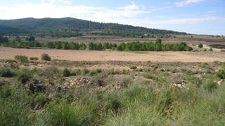 Terreny residencial a Monòver. Esta parcela edificable de 86.000 m cerca de monovar ofrece un p