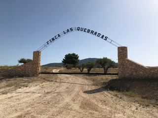 Residential Plot in Yecla. Finca las quebradas entre pinoso y yecla. esta amplia propiedad