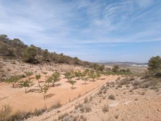 Terreny residencial a Abanilla. Descubra esta amplia parcela de 9.155 m, ideal para quienes busc