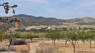 Terrain résidentiel à Algueña. Esta parcela de 7.558 m ofrece un entorno tranquilo con hermosas