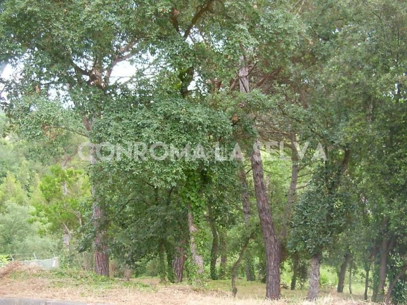Foto 016032e4-56a8-45c6-9067-26755327ed20. Terrain résidentiel dans Residencial Park Maçanet de la Selva