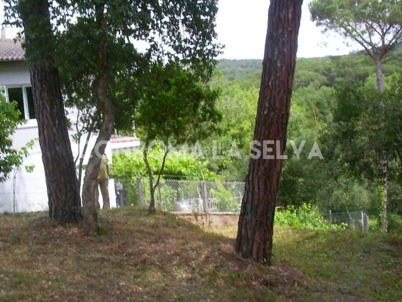 Foto 2288b4a3-bdbe-48a5-ab05-8df5794bb34c. Terrain résidentiel dans Residencial Park Maçanet de la Selva