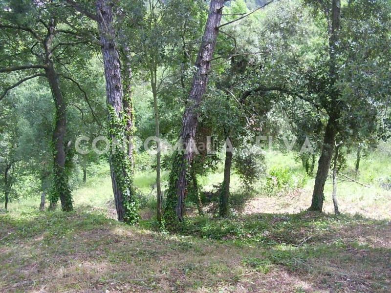 Foto 52ed71df-15b2-4b32-88c9-bf70f980e57d. Terrain résidentiel dans Residencial Park Maçanet de la Selva