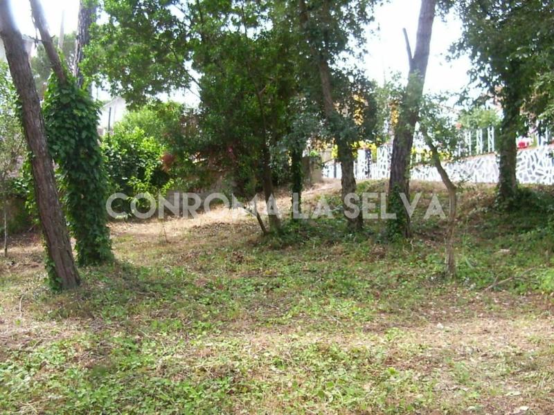 Foto 7e81fd15-41b2-42ed-9932-59e83ce97571. Terrain résidentiel dans Residencial Park Maçanet de la Selva