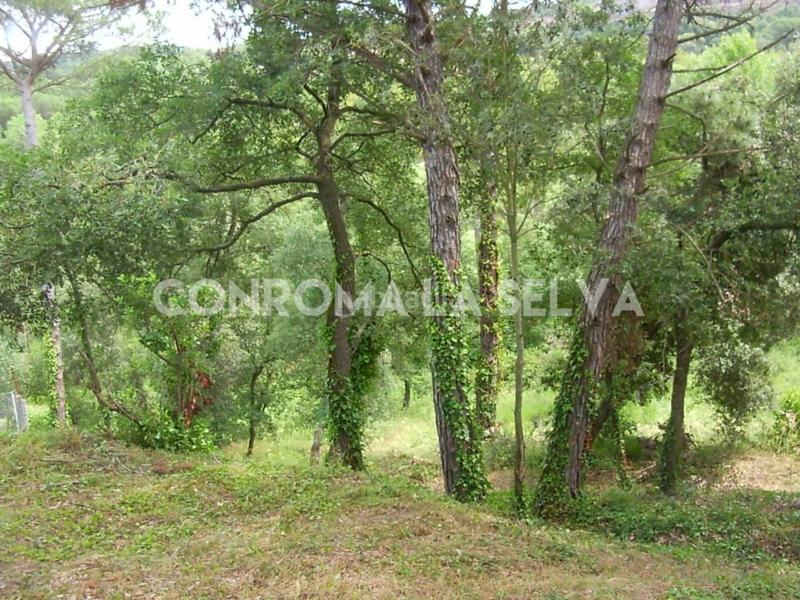 Foto 8f4a3e1d-8edf-47c7-9c86-5572d8c9657c. Terrain résidentiel dans Residencial Park Maçanet de la Selva