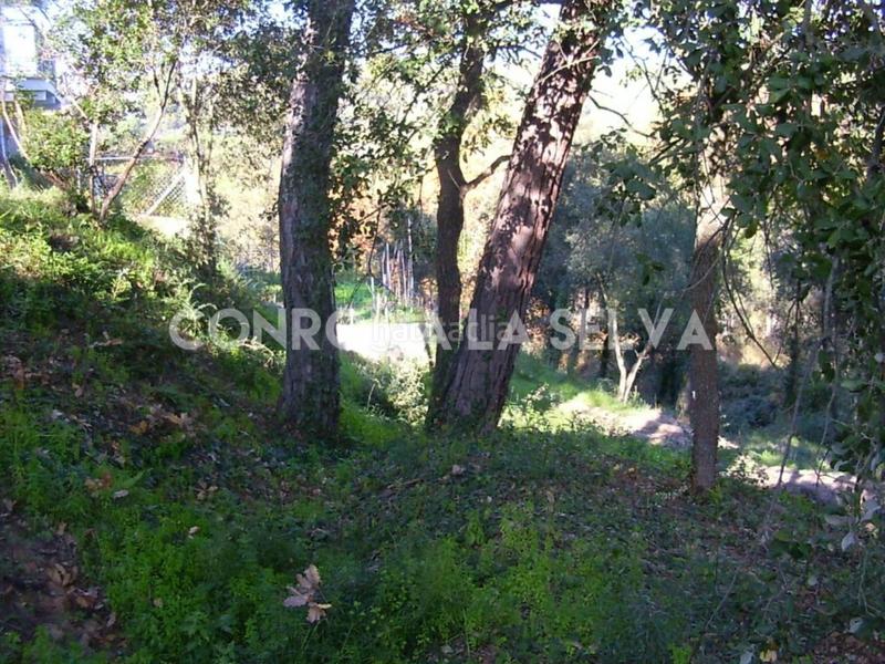 Foto ab3f3705-9b6e-414e-a5ab-35801fe59623. Terrain résidentiel dans Residencial Park Maçanet de la Selva