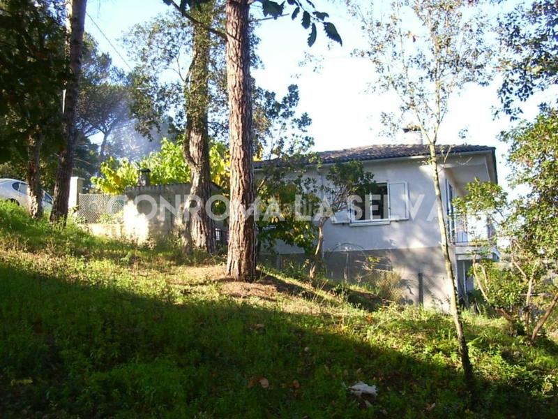 Foto becf98ab-6d4c-46a0-a45c-ceae8af3469d. Terrain résidentiel dans Residencial Park Maçanet de la Selva