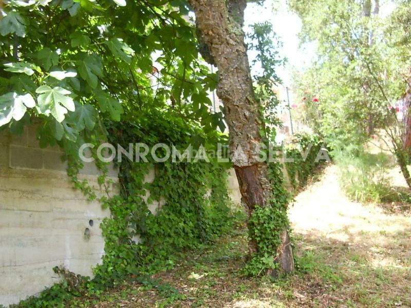 Foto c88d267c-594c-4879-ab17-8d2b1ed280a3. Terrain résidentiel dans Residencial Park Maçanet de la Selva