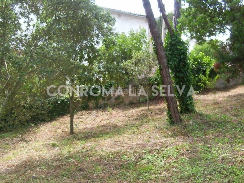 Foto e24db333-7e02-4fdb-a2db-f34d64374c50. Terrain résidentiel dans Residencial Park Maçanet de la Selva