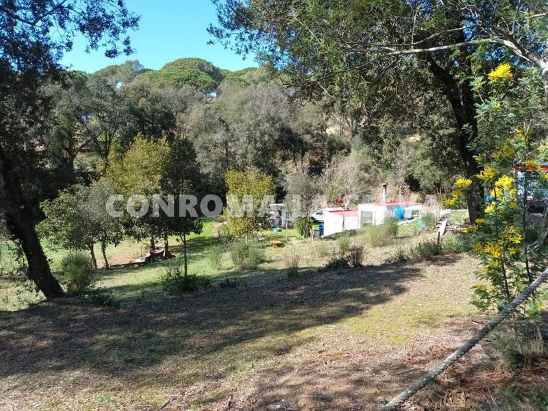 Foto 19dba902-4aba-49eb-8120-cb92113f4839. Finca rústica espectacular terreno rústico de 15.000m2 en Blanes