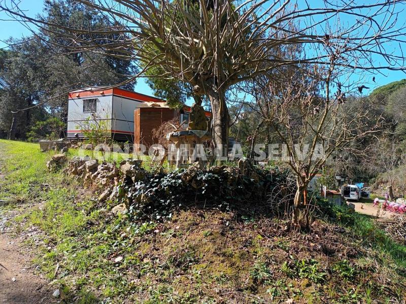 Foto 96078918-84f0-43a4-abf9-9329bf7da4e0. Finca rústica espectacular terreno rústico de 15.000m2 en Blanes