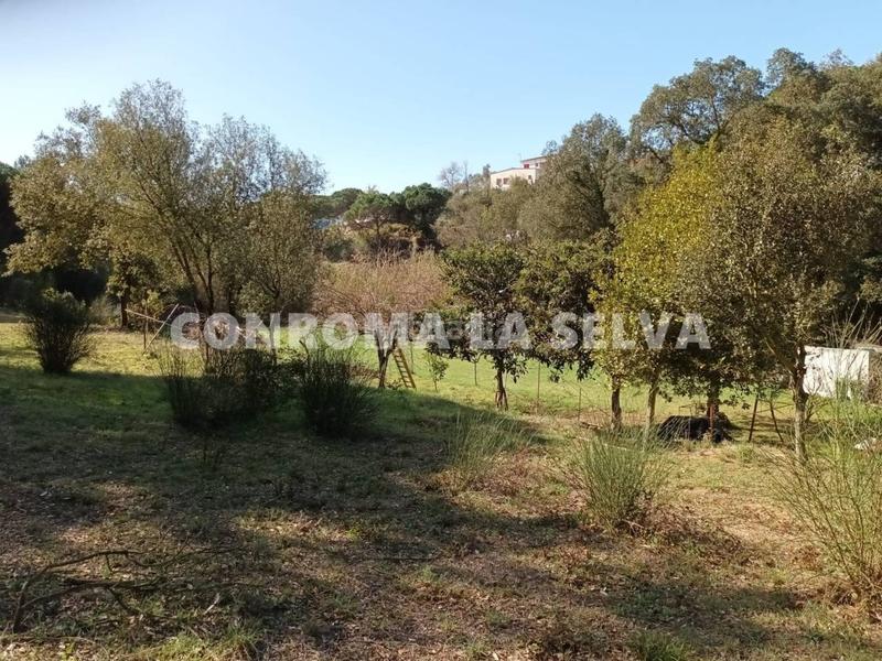 Foto b3e7fc92-c2b6-4b58-a669-658fb1e19b46. Finca rústica espectacular terreno rústico de 15.000m2 en Blanes