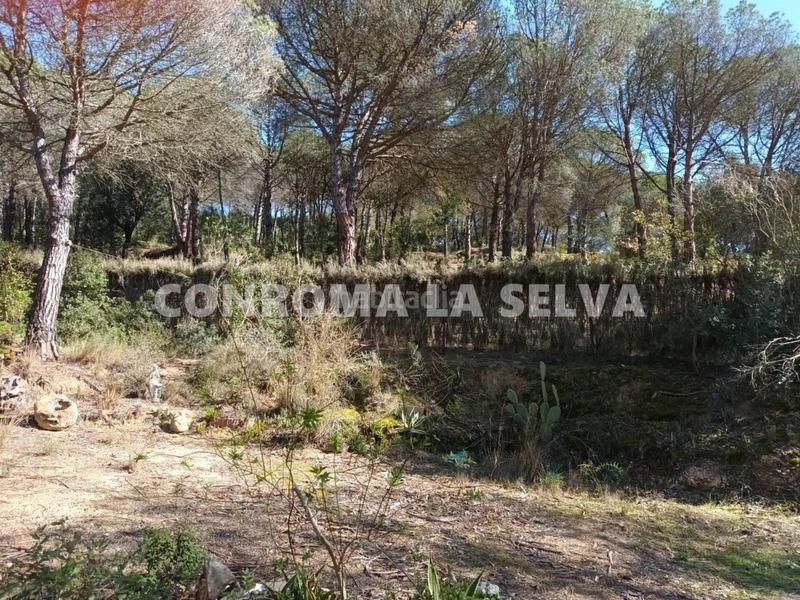 Foto c63cd54d-9fc1-48a3-ad11-0171ffb06c0d. Finca rústica espectacular terreno rústico de 15.000m2 en Blanes
