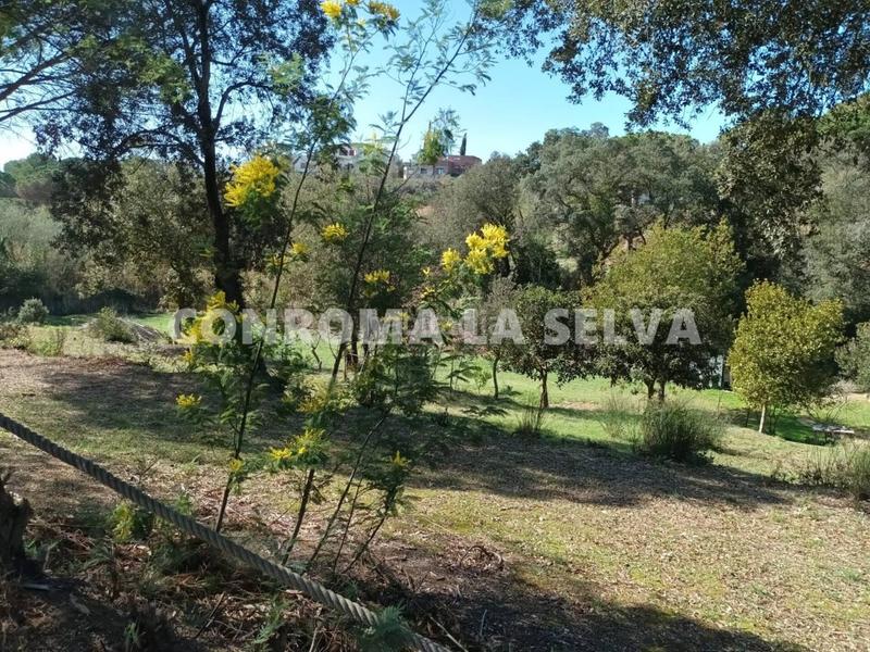 Foto ca6a10f4-11da-4c0e-9ea0-c13bdb53eb71. Finca rústica espectacular terreno rústico de 15.000m2 en Blanes