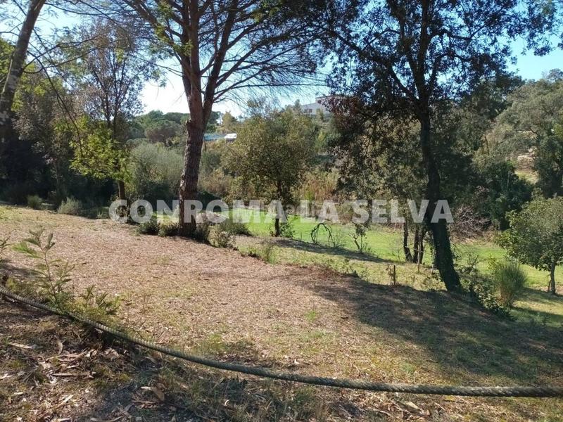 Foto ec240b08-17f0-4f3d-8fce-31a4a9f29de8. Finca rústica espectacular terreno rústico de 15.000m2 en Blanes