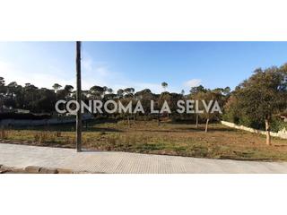 Finca rústica a Sils. Terreno en venta en sils