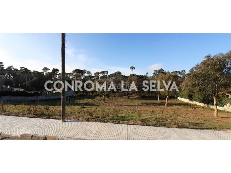 Foto 0d8dc19a-ddbc-4de7-b27f-e29400518533. Finca rústica a Sils