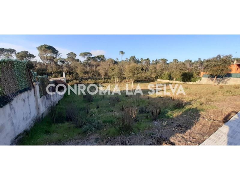 Foto 4e25daee-ac39-47b8-8536-ba64dc78e831. Finca rústica a Sils