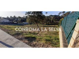 Finca rústica a Sils. Terreno en venta en sils