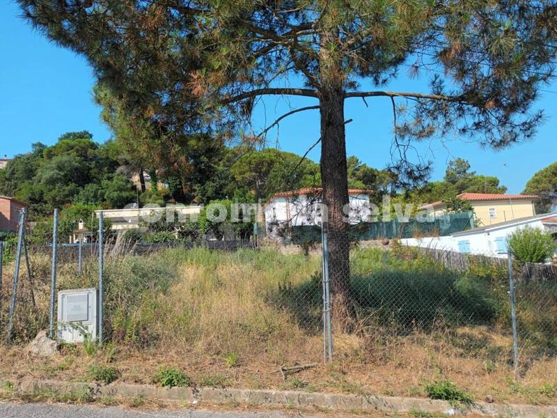 Foto c4736d56-035c-4e4a-b698-adb1c09f8533. Terrain résidentiel dans Lloret Residencial - Montlloret Lloret de Mar